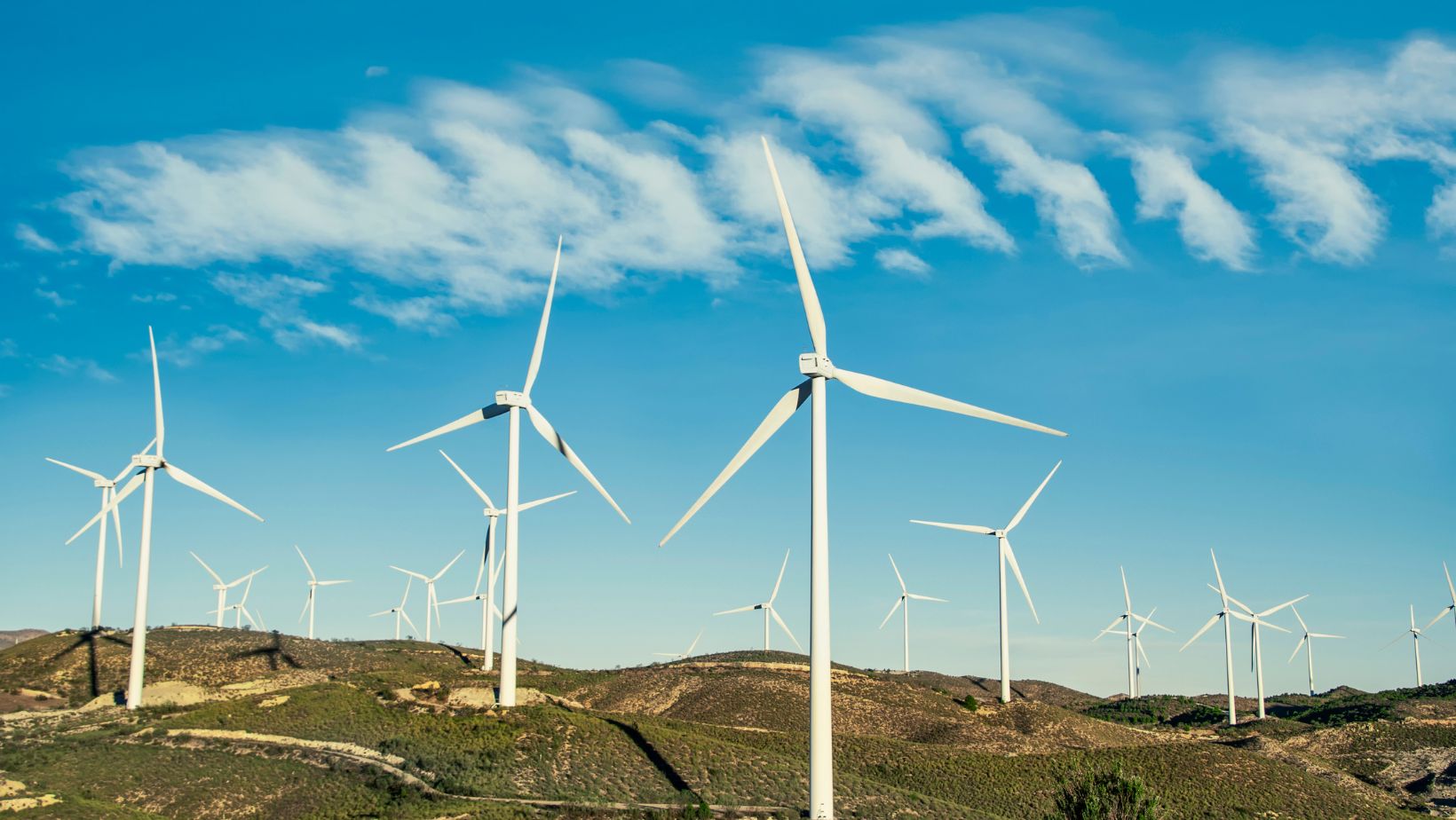 Things You Didn’t Know About Wind Turbines